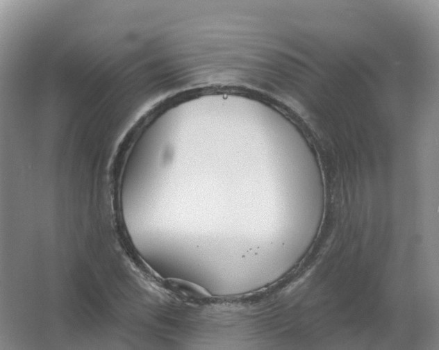 X0000066971118200604142134