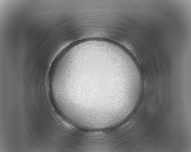 X0000066971119200604142134