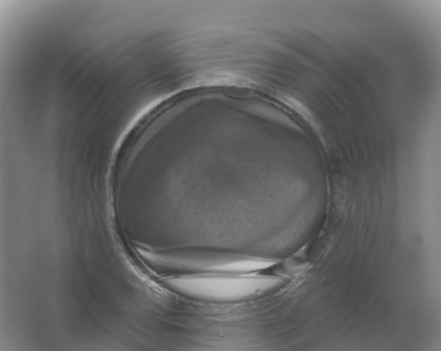 X0000066971120200604142134