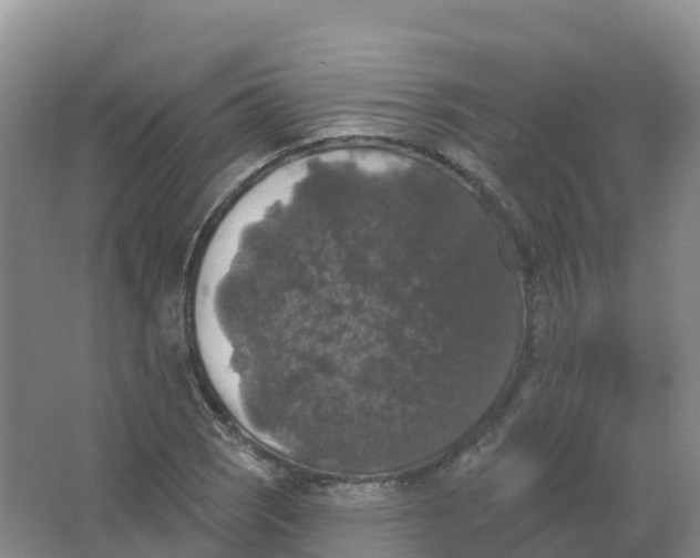 X0000066971121200604142134