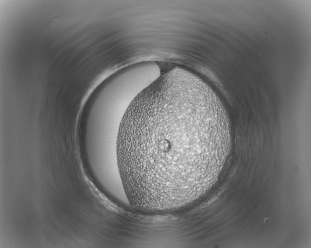 X0000066971122200604142134