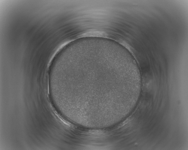 X0000066971123200604142134