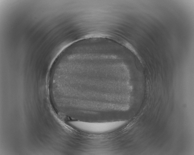 X0000066971124200604142134