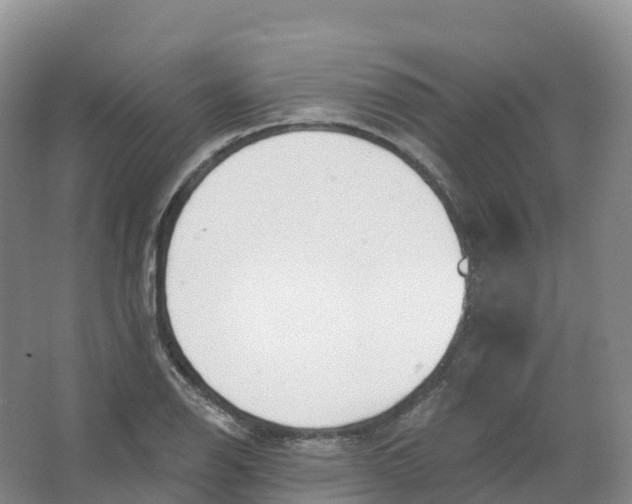 X0000066971126200604142134