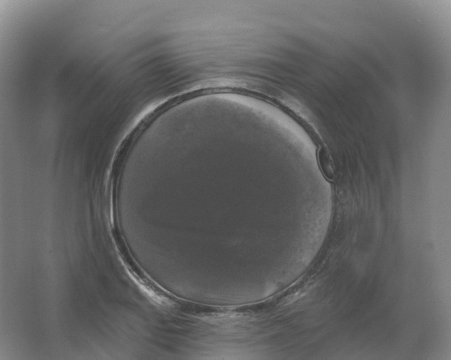 X0000066971127200604142134