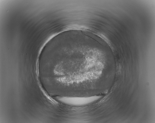 X0000066971128200604142134