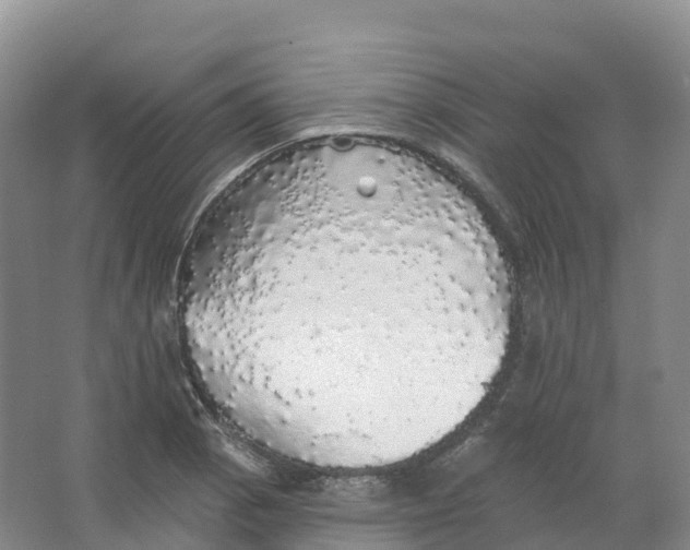 X0000066971129200604142134