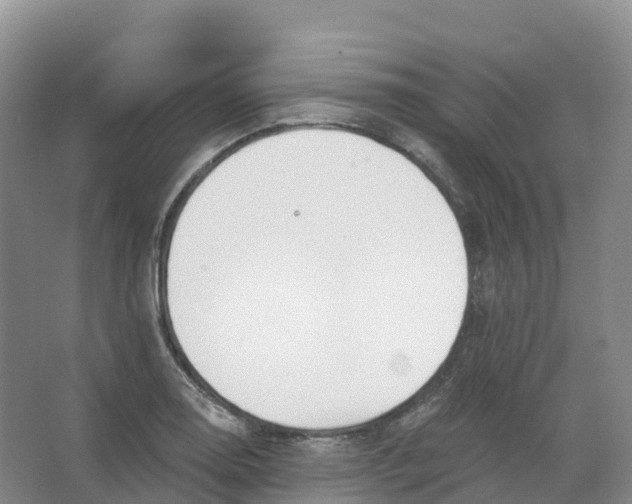 X0000066971130200604142134