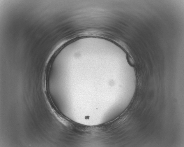 X0000066971131200604142134