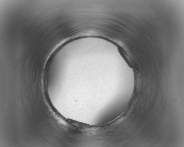 X0000066971134200604142134