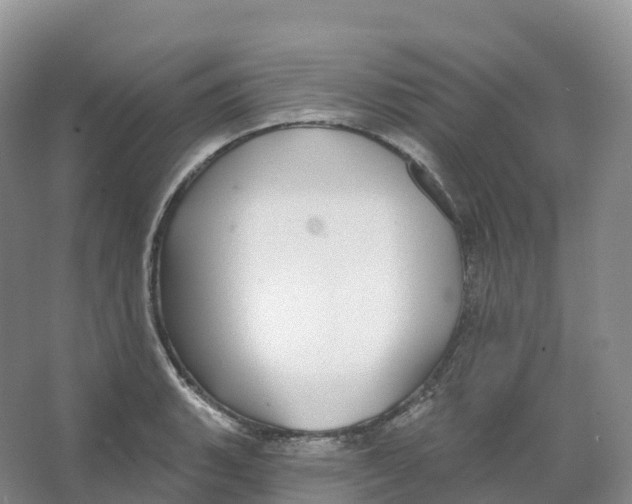 X0000066971135200604142134