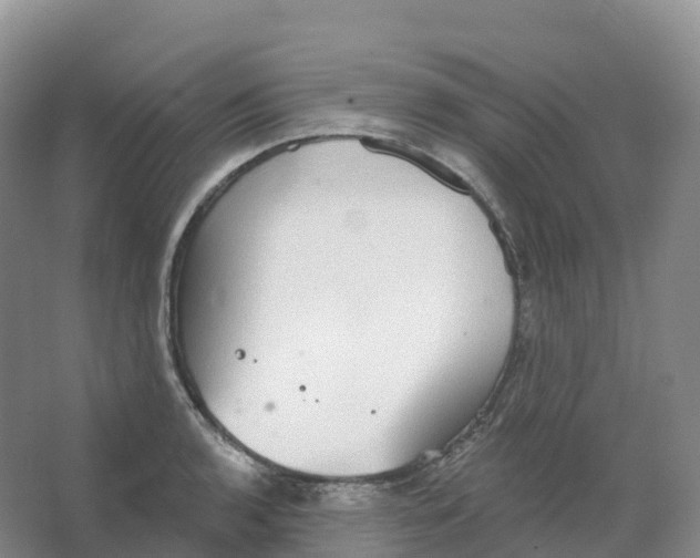 X0000066971136200604142134