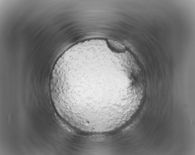 X0000066971137200604142134