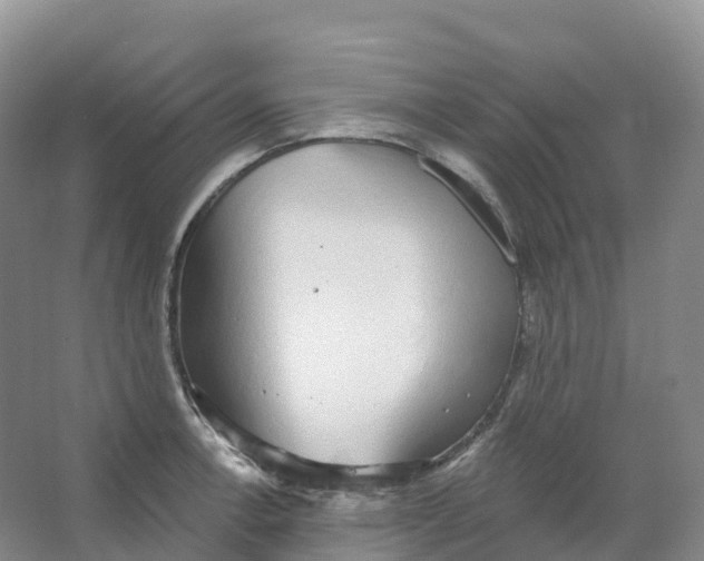 X0000066971138200604142134