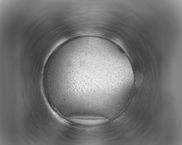 X0000066971139200604142134