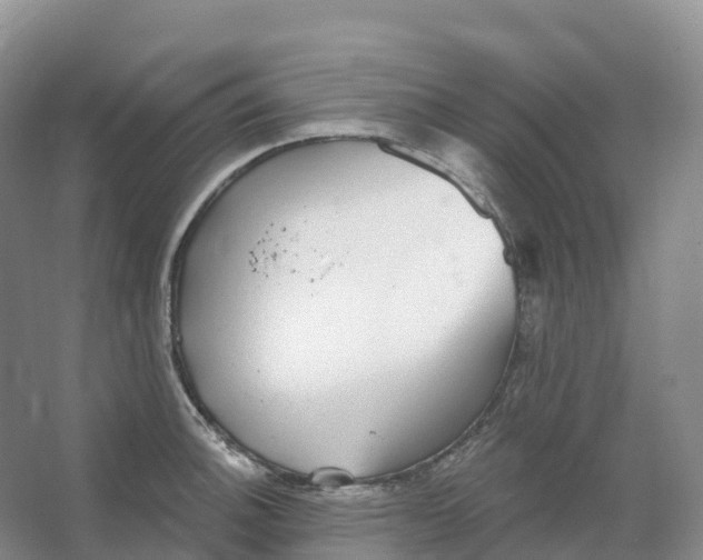 X0000066971140200604142134