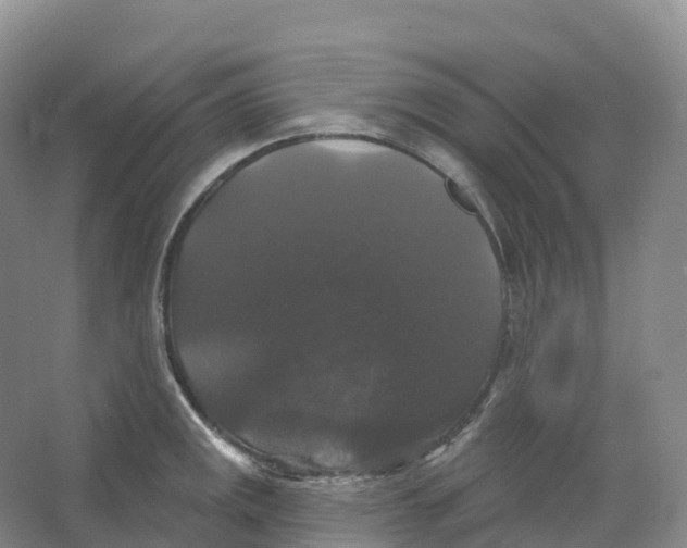 X0000066971141200604142134