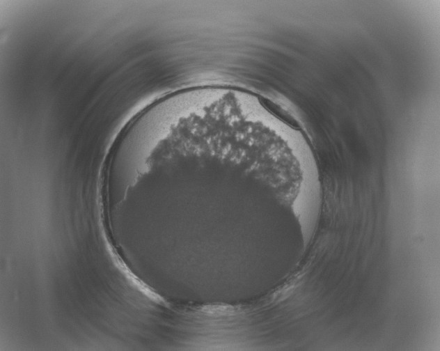 X0000066971142200604142134