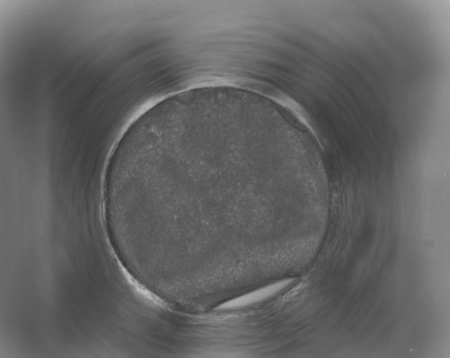 X0000066971143200604142134