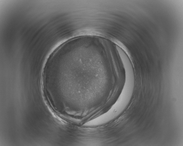 X0000066971144200604142134