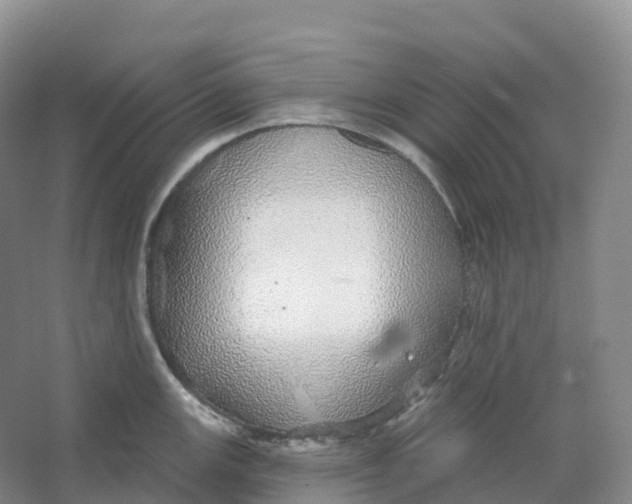 X0000066971147200604142134