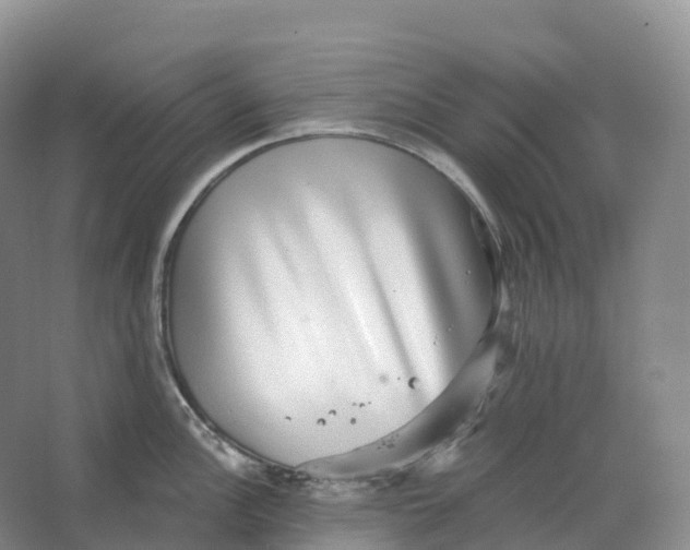 X0000066971148200604142134