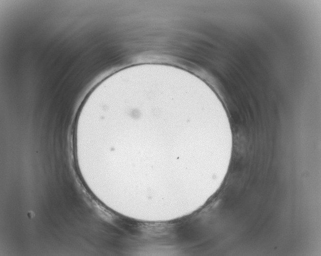 X0000066971150200604142134