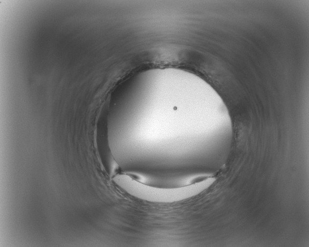 X0000066971153200604142133