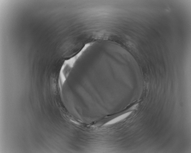 X0000066971154200604142133