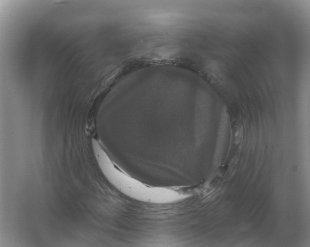 X0000066971156200604142133