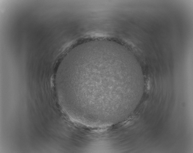 X0000066971157200604142133