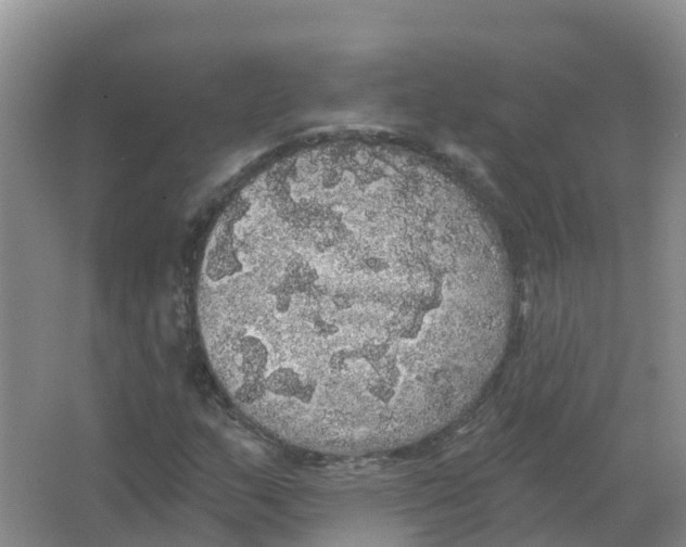 X0000066971159200604142133