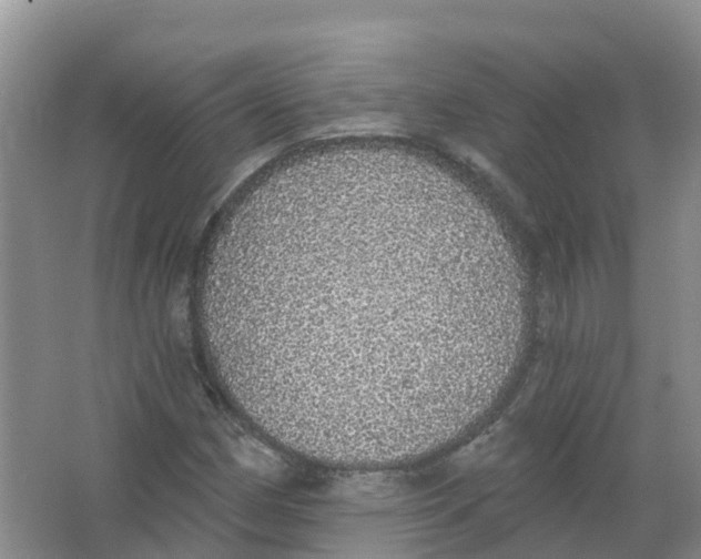 X0000066971162200604142133