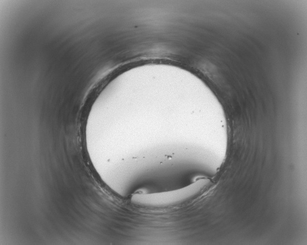 X0000066971164200604142133