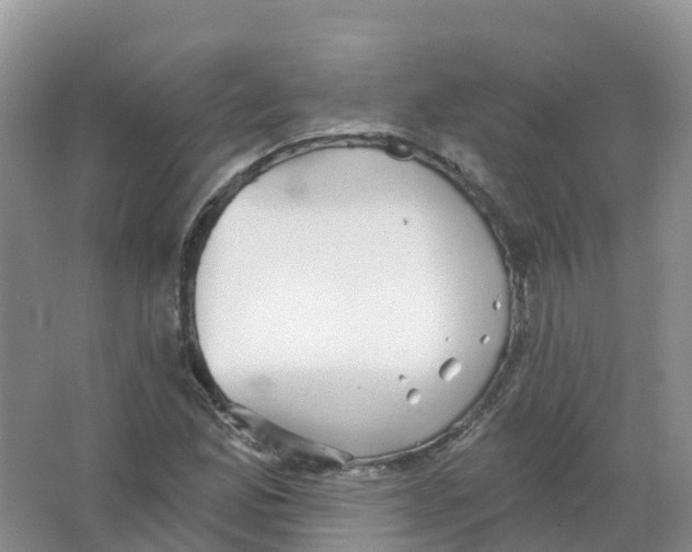 X0000066971165200604142133