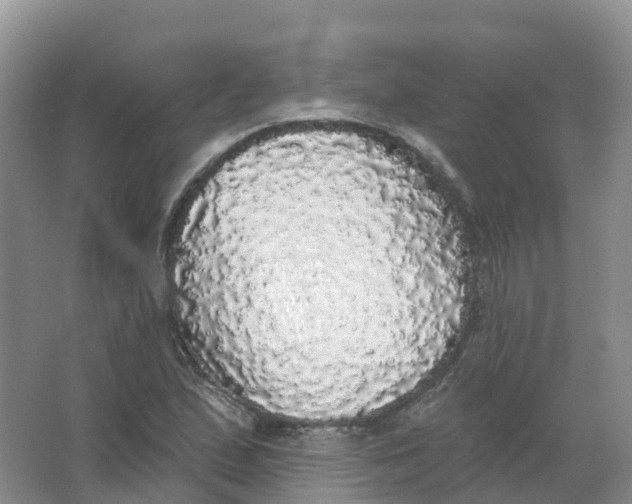 X0000066971167200604142133