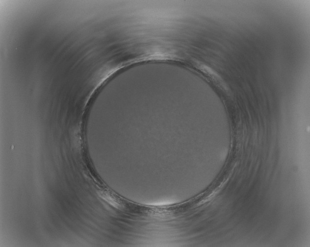 X0000066971170200604142133