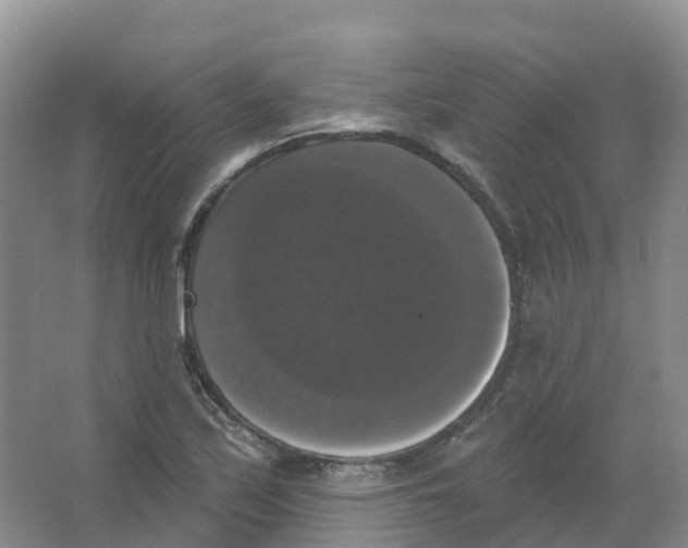 X0000066971171200604142133