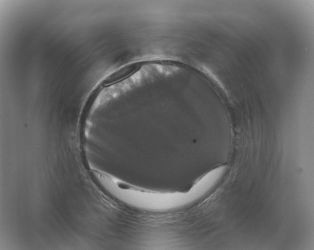 X0000066971173200604142133