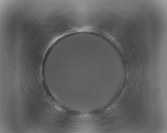 X0000066971174200604142133