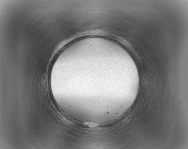 X0000066971176200604142133