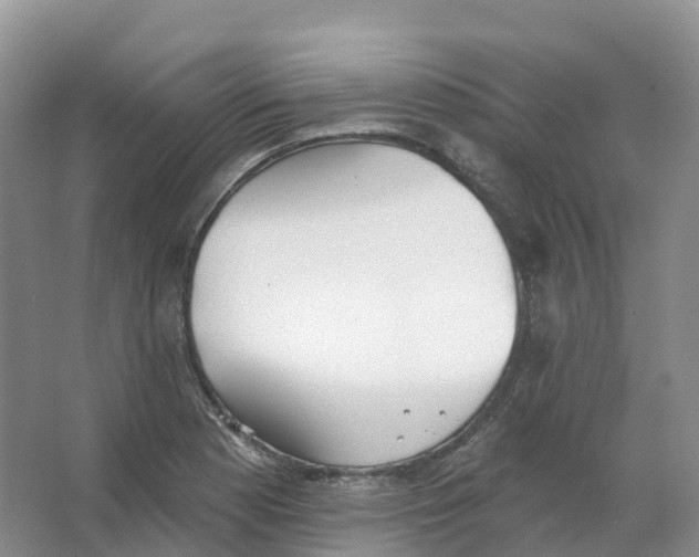 X0000066971177200604142133