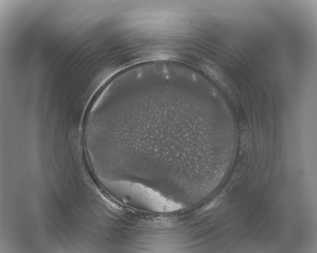 X0000066971178200604142133