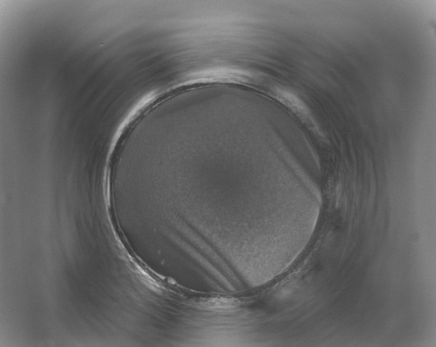 X0000066971180200604142133