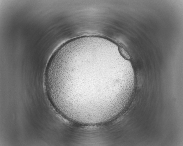 X0000066971182200604142133