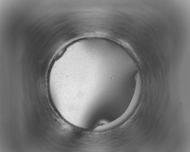 X0000066971184200604142133