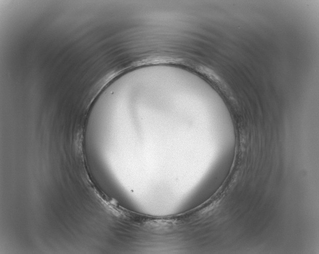 X0000066971185200604142133