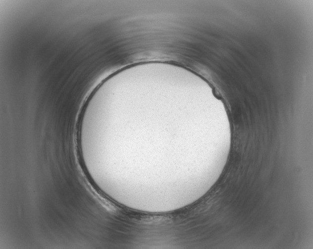 X0000066971187200604142133