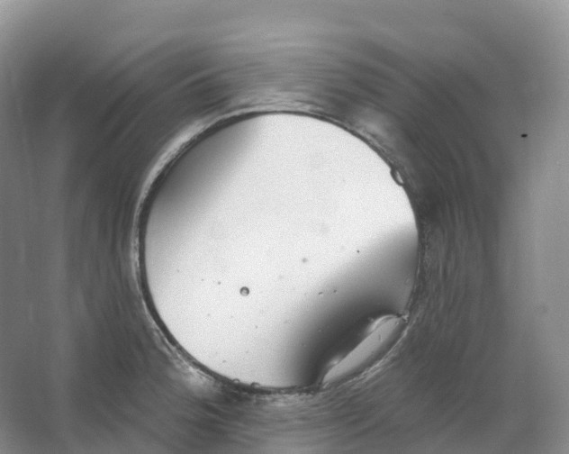 X0000066971188200604142133