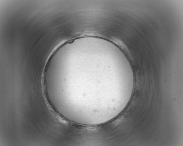 X0000066971190200604142133